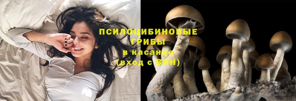 прущие крисы Алексин