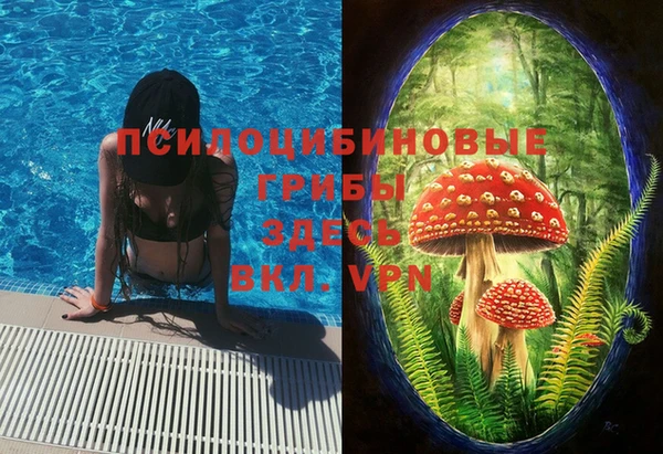 ПСИЛОЦИБИНОВЫЕ ГРИБЫ Алексеевка