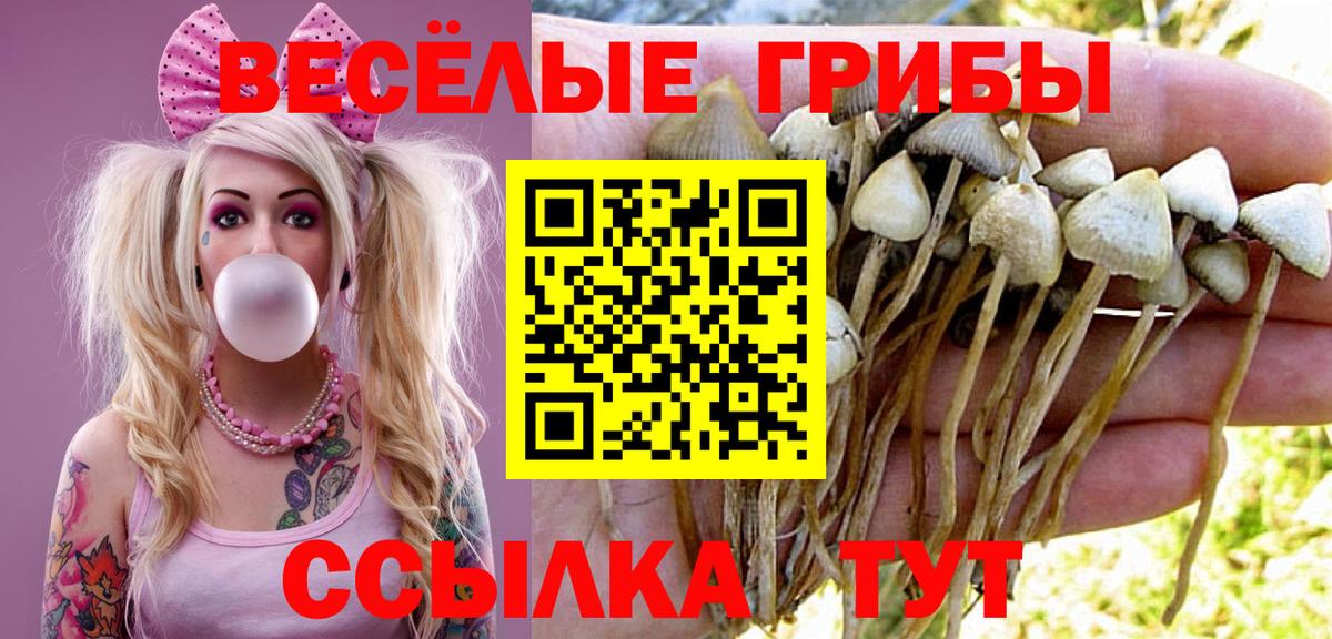 купить наркотики цена  Вход с VPN  Грязи  Псилоцибиновые грибы мицелий 