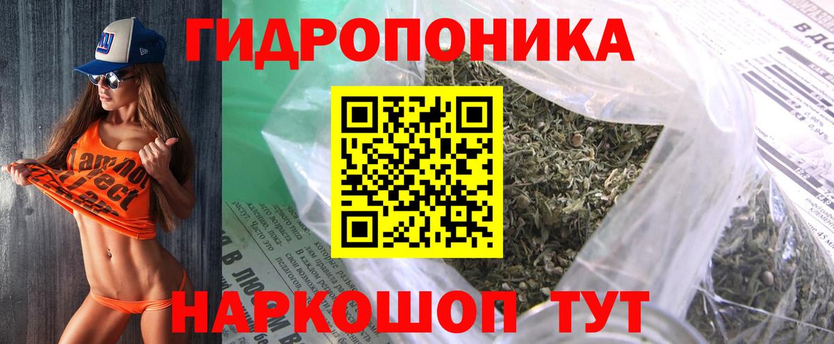 Шишки марихуана сатива Грязи